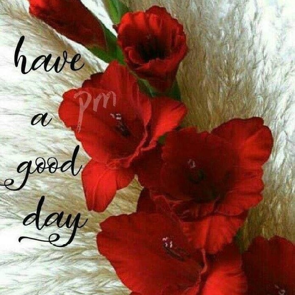 Meet your Posher, MA Banks - Picture 8 of 12